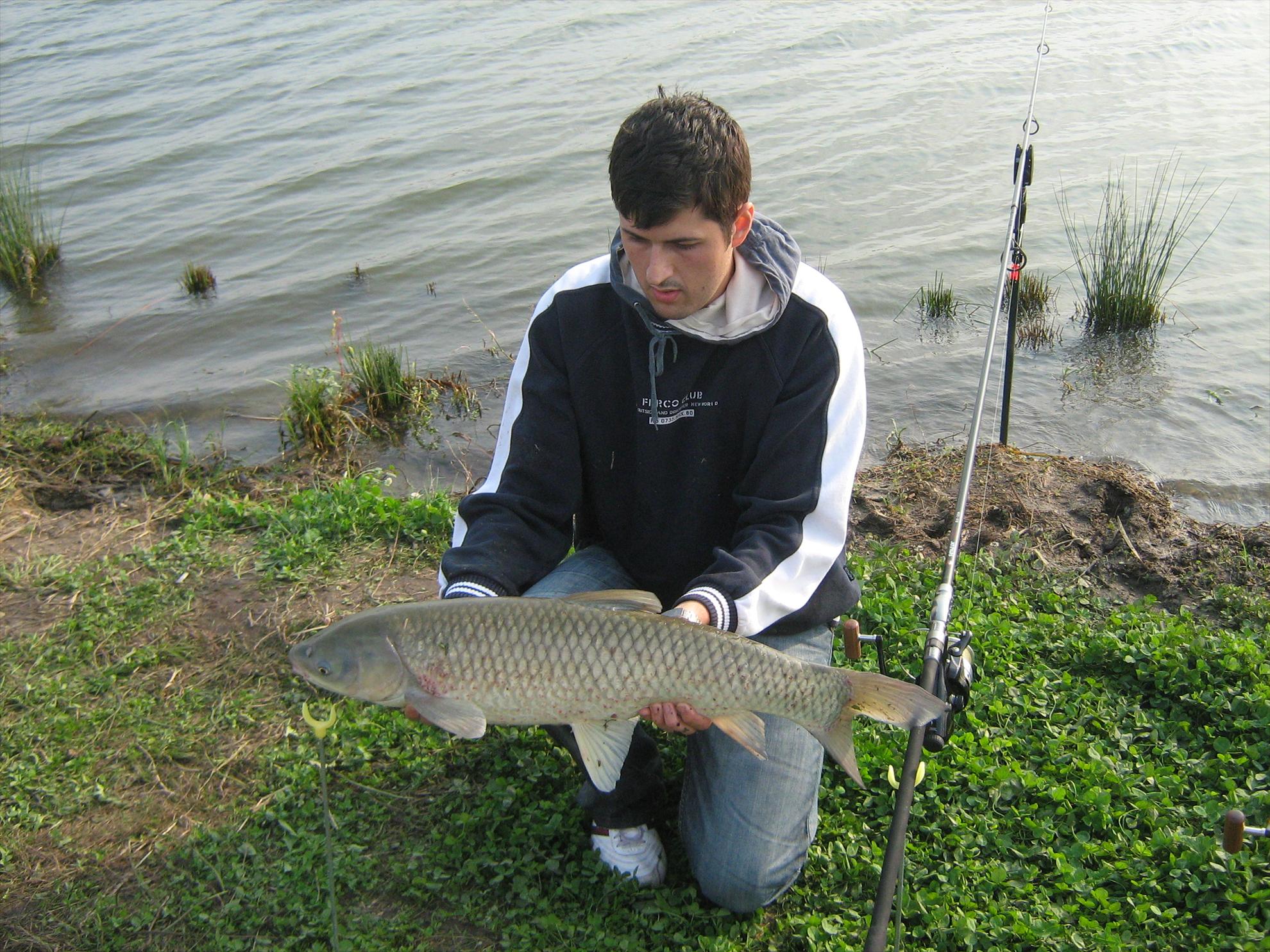 Hobaia - img0424.JPG